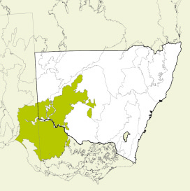 Map of New South Wales, Australia, highlighting the Murray Darling Depression bioregion in green. The rest of the state is shown in white, with some geographical features like rivers and mountain ranges outlined.