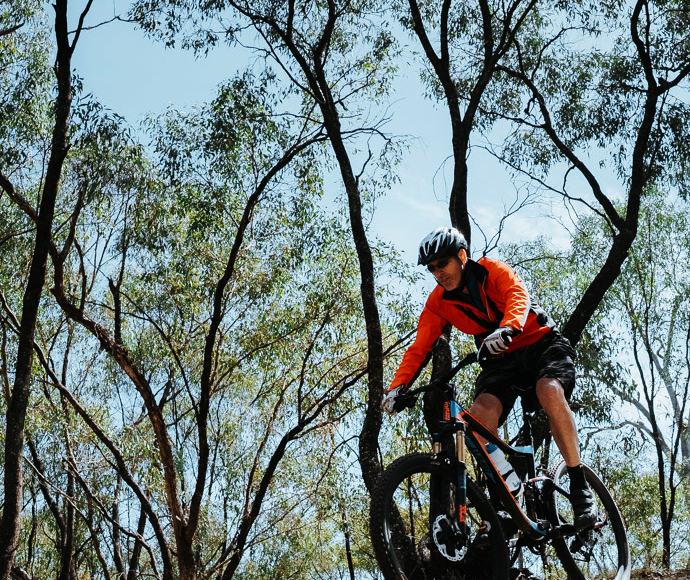 Mountain bike trails winding through the lush greenery of Murray Valley Regional Park near Deniliquin, NSW.