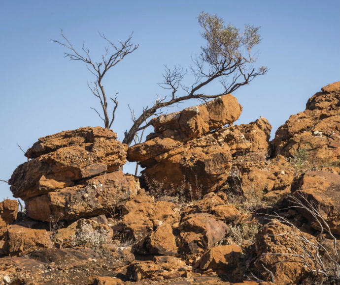 Western Ridge Walking Track, also known as Sunset Ridge trail western plains desert Mutawintji National Park