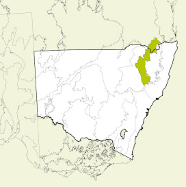 Map of New South Wales, Australia, highlighting the Nandewar bioregion in green. The rest of the state is shown in white, with some geographical features like rivers and mountain ranges outlined.