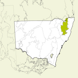 Map of New South Wales, Australia, highlighting the New England Tableland bioregion in green. The rest of the state is shown in white, with some geographical features like rivers and mountain ranges outlined.