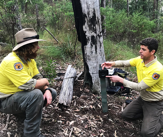 Two people wearing yellow shirts are working in a forested area. One is kneeling and adjusting a camera or device attached to a tree, while the other is squatting nearby, observing. The background consists of trees and foliage.