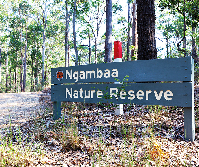 Ngambaa Nature Reserve entry point sign. A road leads into a forest behind it.