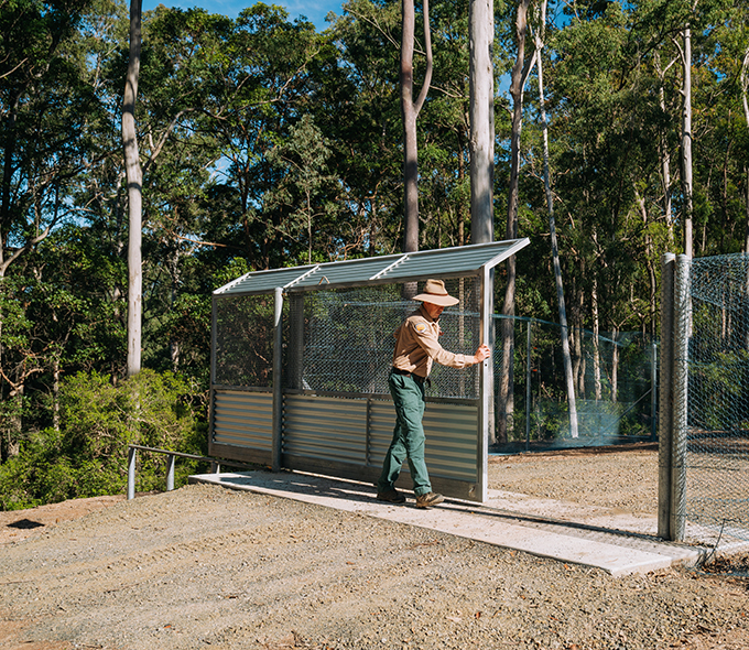 Man in NSW parks uniform closing a large wire gate. A dirt road leads into the area with forest beyond.