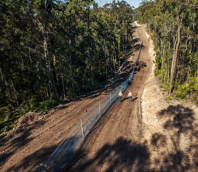 Two staff in NSW parks uniform walking along a very long fence in the red dirt. There is thick, green forest on both ides.