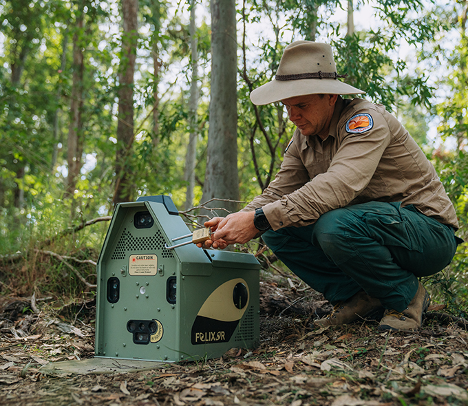 Man in NSW parks uniform crouching in the forest by 'Felixer' - a small, green, house-shaped box.