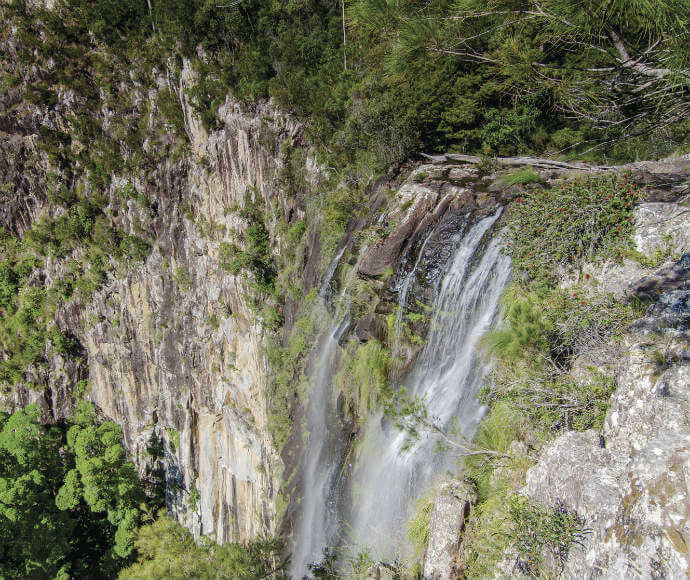 Minyon Falls in Nightcap National Park, with water cascading down a 100-meter cliff into a lush, green rainforest below.