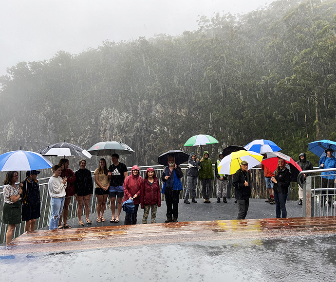 People with umbrellas standing in heavy rain near a forest.