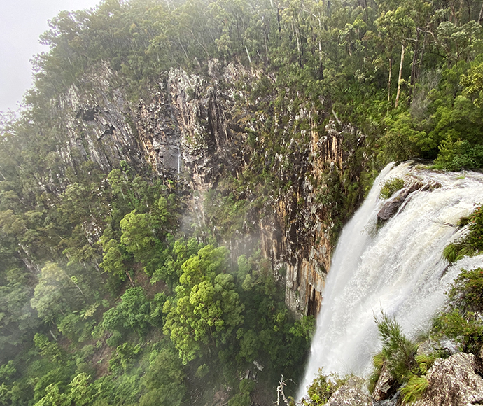 Minyon Falls in Nightcap National Park, cascading over a rocky cliff into a dense forest below. 