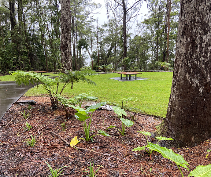 Rain-soaked park with greenery, picnic table, and a paved path.