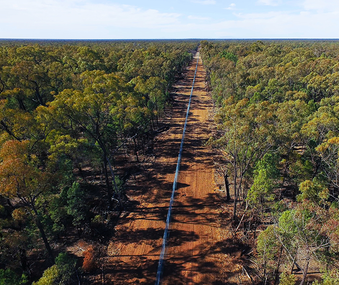 Long stretch of red dirt road with forest on both side and a tall wire fence running down the middle 