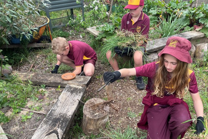 School students help grow plants