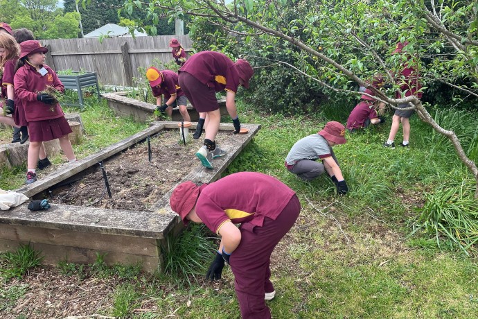 School students gardening