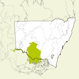 Map of New South Wales, Australia, highlighting the Riverina bioregion in green. The rest of the state is shown in white, with some geographical features like rivers and mountain ranges outlined.