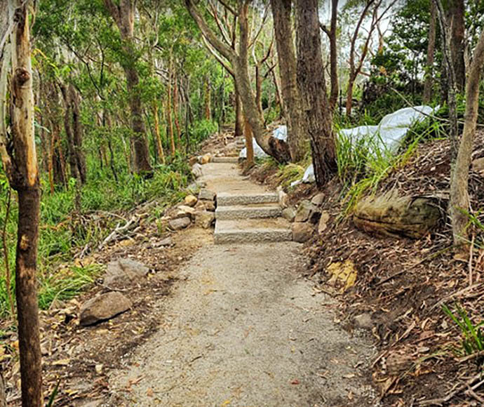 A section of track at Otford lookout. Gravel path with 3 steps leading up the track. Heavy forest is all around the track.