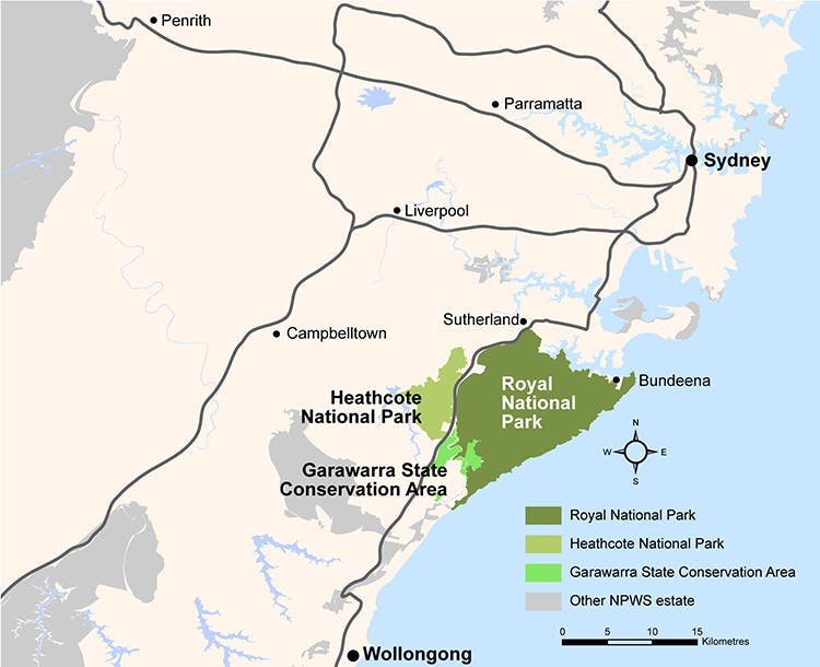 Detailed map of the Royal National Park highlighted in olive green and its surrounds highlighted in various shades of green. Surrounding highlighted areas are Bundeena, Sutherland, Heathcote National Park, Garawarra State Conservation area. This portion of the map is the highlight, however the map also features some key regions in the greater Sydney area providing scale and demonstrating the extent of the Royal National Park area.