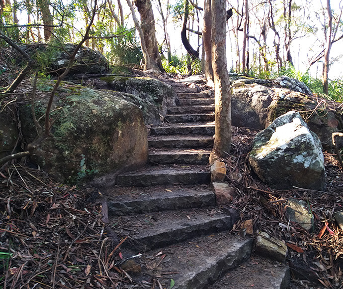 Stone steps leading up through a forested area. The steps are made of rough-hewn stone, surrounded by large rocks and trees. Sunlight filters through the trees, casting dappled shadows on the steps and foliage. The scene suggests a natural park pathway or hiking trail.