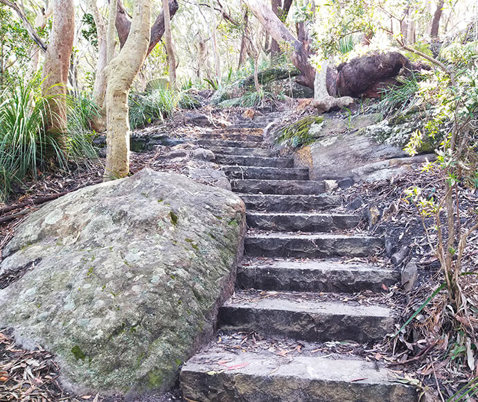 Stone steps leading up through a forested area. The steps are made of rough-hewn stone, surrounded by large rocks and trees. Sunlight filters through the trees, casting dappled shadows on the steps and foliage. The scene suggests a natural park pathway or hiking trail.