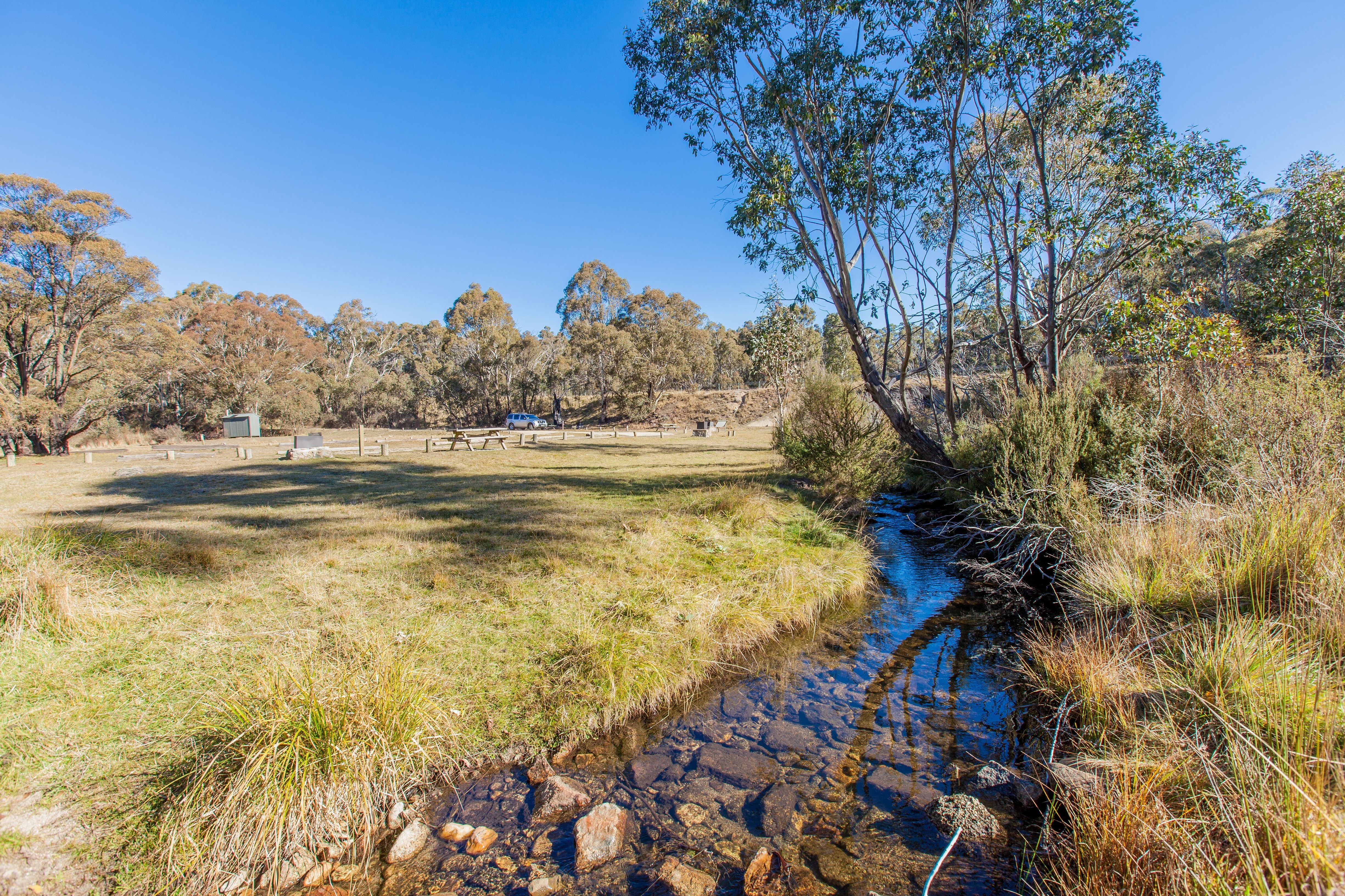 A scenic view of the Sawpit Creek picnic area in Kosciuszko National Park, featuring picnic tables nestled among lush greenery and trees, with a tranquil creek flowing nearby, creating a perfect spot for outdoor relaxation and enjoyment.