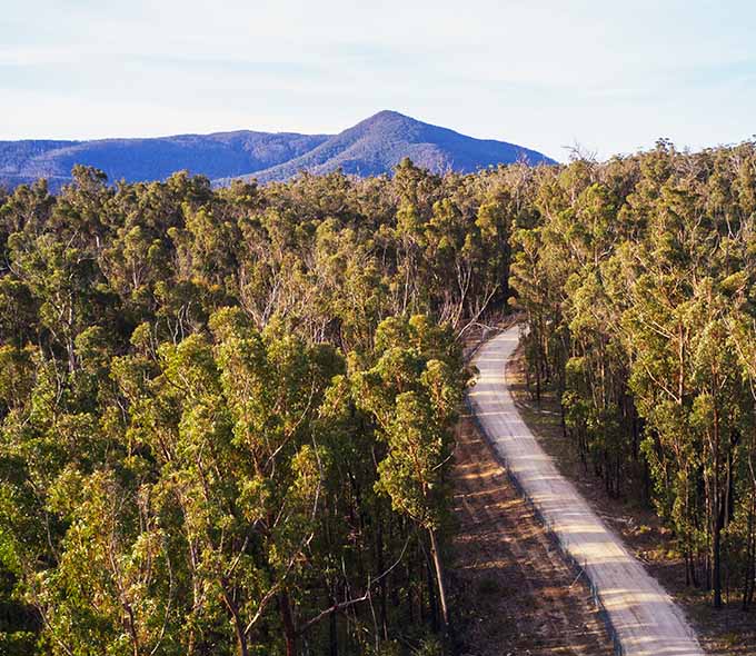 A long, fenced road curves through forest with mountains visible in the background.