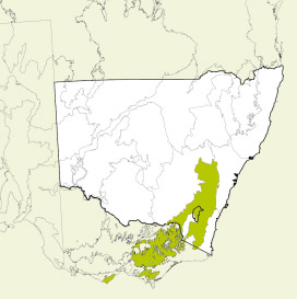 Map of New South Wales, Australia, highlighting the South Eastern Highlands bioregion in green. The rest of the state is shown in white, with some geographical features like rivers and mountain ranges outlined.