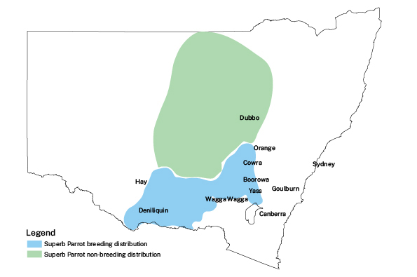 Map showing the Superb Parrot's distribution in New South Wales. Green indicates non-breeding areas; blue shows breeding areas, with key towns labelled.