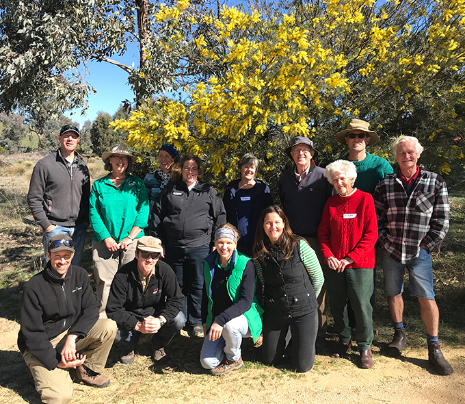 A group of people smiling outdoors in a sunny setting, framed by a large, blooming bush with bright yellow flowers. These people are the ‘saving our superb parrot’ project team. The atmosphere appears joyful and relaxed.