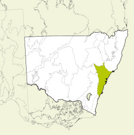 Map of New South Wales, Australia, highlighting the Sydney Basin bioregion in green. The rest of the state is shown in white, with some geographical features like rivers and mountain ranges outlined.