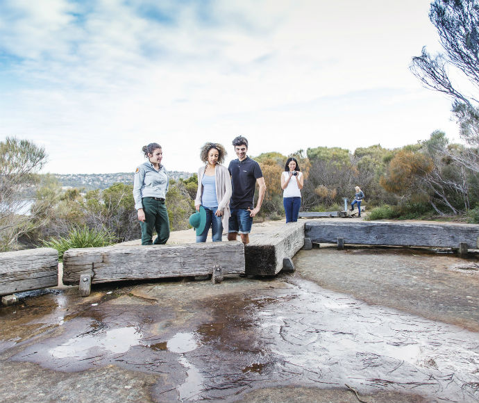 Participants observe Aboriginal engravings on rocks during a guided tour at Grotto Point in Sydney Harbour National Park. An Aboriginal guide explains the cultural significance of these carvings, connecting visitors with Indigenous heritage within the urban landscape.