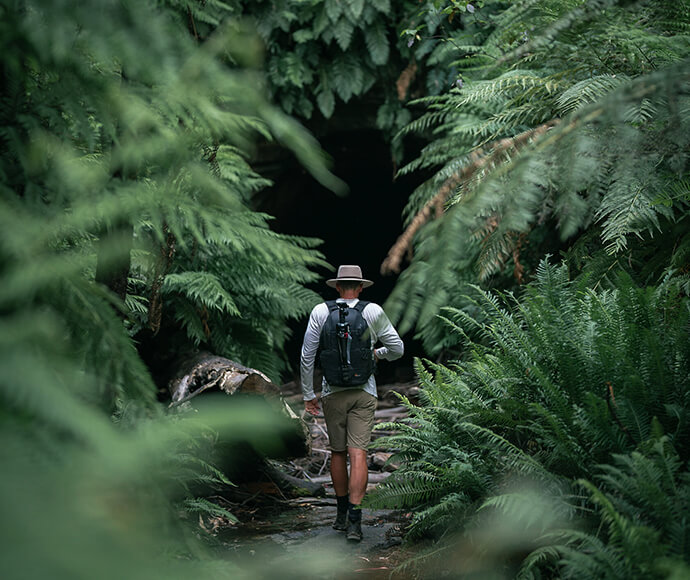 A person wearing a hat, long-sleeved shirt, shorts, and a backpack is walking through a dense forest path surrounded by lush green ferns and foliage. The person is heading towards a dark, cave-like opening in the background.