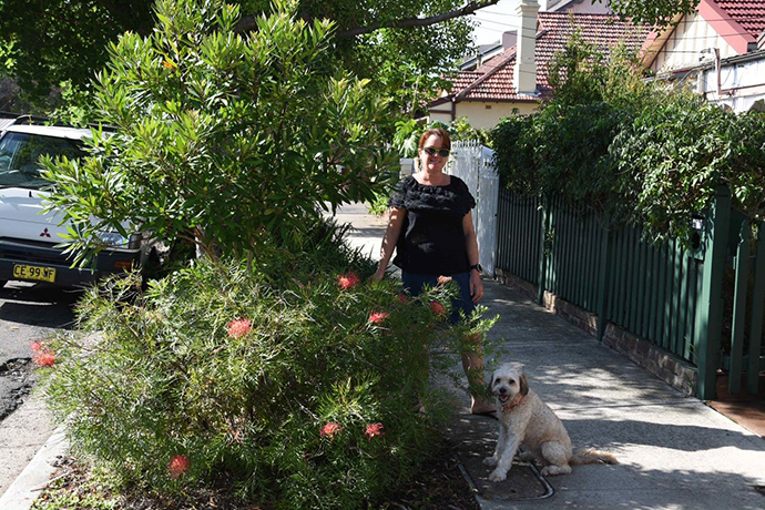 Clare Nadas standing next to her verge garden with her dog. The garden has a pink grevillea at the front.