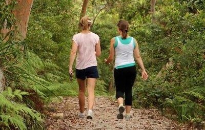 Two women walking away from camera on path surrounded by large trees and greenery.