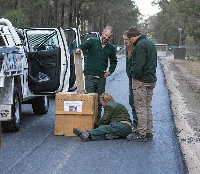 NPWS officers inspecting a box on the road.