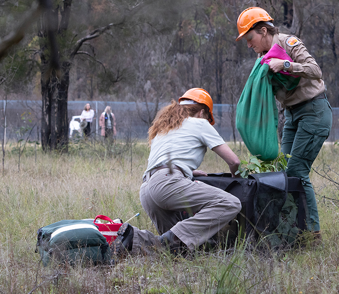 Two NPWS officers lifting a large green bag from an animal carrier.