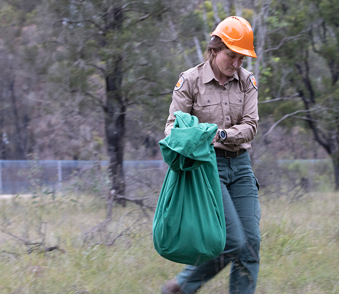 NPWS carrying a large green bag into the forest.