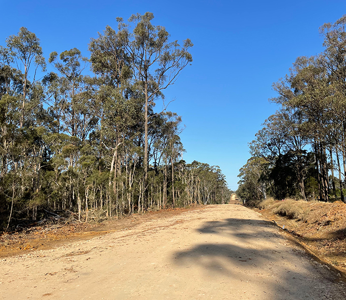 Dirt road going towards bush.