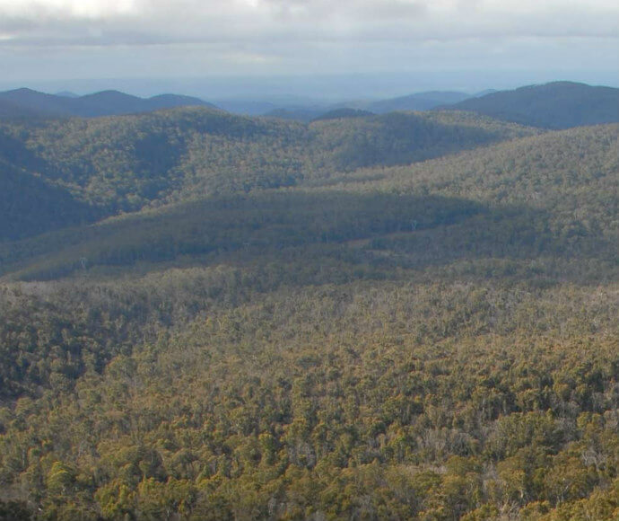 A panoramic view of the Brindabella region in south-east New South Wales, showcasing a vast expanse of forested hills and valleys under a partly cloudy sky.