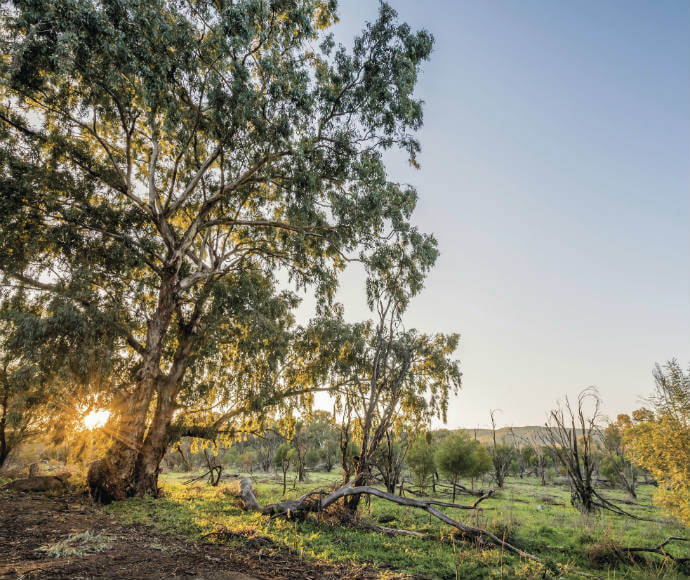 Photograph of Cocoparra National Park, featuring a landscape with rocky hills, native vegetation, and a clear blue sky, highlighting the natural beauty of this protected area in New South Wales.