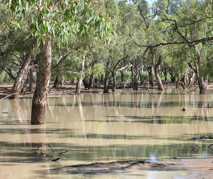 Photograph of Nebine Creek in Culgoa National Park, featuring a serene waterway surrounded by native vegetation and a clear blue sky, highlighting the natural beauty of this protected area in New South Wales.