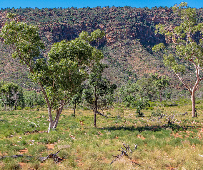 Photograph of Bennett’s Gorge in Gundabooka National Park, featuring a rugged landscape with rocky formations, native vegetation, and a serene natural environment.