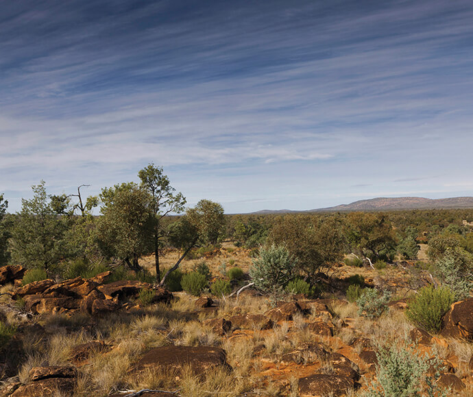 Photograph of the Mulgowan (Yappa) Aboriginal Art Site in Gundabooka National Park, showcasing ancient rock art created by Indigenous Australians, with detailed paintings on rock surfaces surrounded by natural bushland.