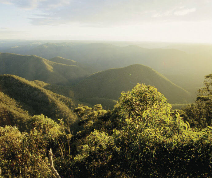 The image shows a scenic view of a mountainous landscape covered with dense forest. The foreground features lush green foliage, while the background reveals rolling hills and valleys extending into the distance. The lighting suggests it is either early morning or late afternoon, with the sun casting a warm, golden hue over the scene.