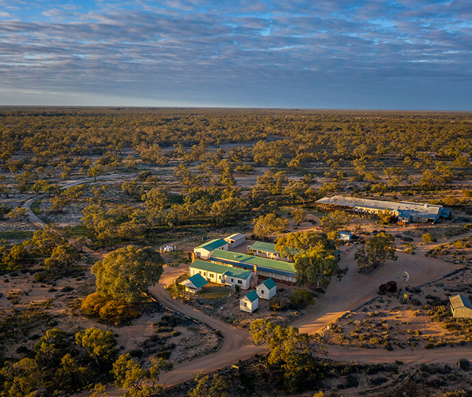 An aerial photo of Kinchega woolshed and Kinchega shearers' quarters on a cloudy day. The buildings have green roofs and white walls, surrounded by trees and sandy, winding roads.