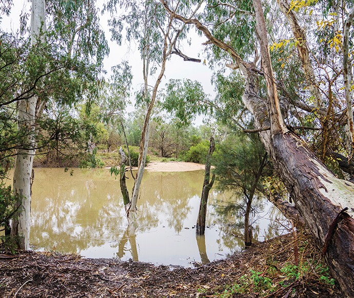 The image shows a natural scene with a body of water surrounded by trees. The water appears to be a pond or a small lake, with reflections of the trees visible on its surface. The trees are a mix of different types, including some with peeling bark and others with dense foliage. The ground near the water is covered with leaves and debris, suggesting a forested or woodland area. The scene is serene and appears to be in a natural, possibly remote location. There are no visible signs of human activity,