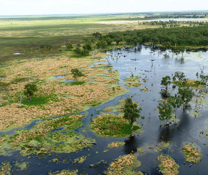 Photograph of the Macquarie Marshes Southern Nature Reserve, featuring a wetland landscape with water channels, lush vegetation, and diverse birdlife, highlighting the ecological importance of this protected area in New South Wales.