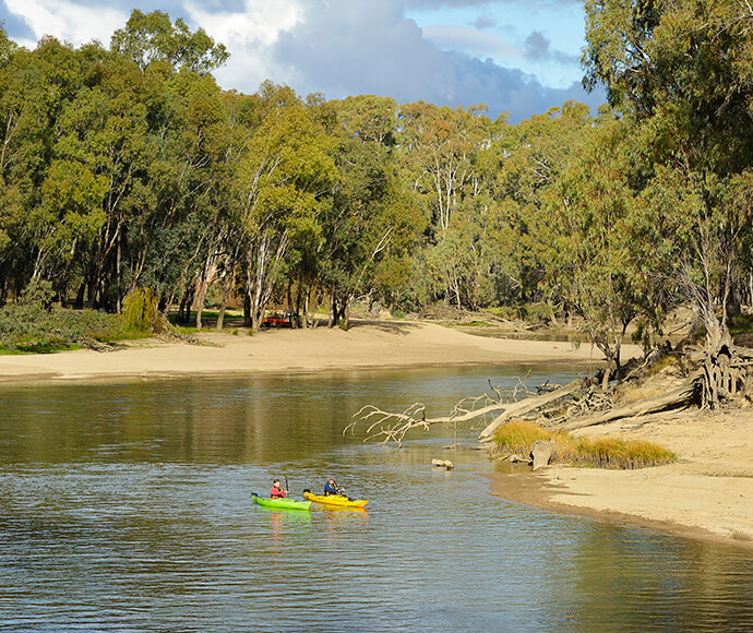 The image shows a serene river scene with two people kayaking. The river is surrounded by dense trees and sandy banks. The kayaks are brightly colored, one green and one yellow, and the kayakers are paddling leisurely. The trees are tall and lush, indicating a healthy forest environment. The sky is partly cloudy, adding to the tranquil atmosphere.