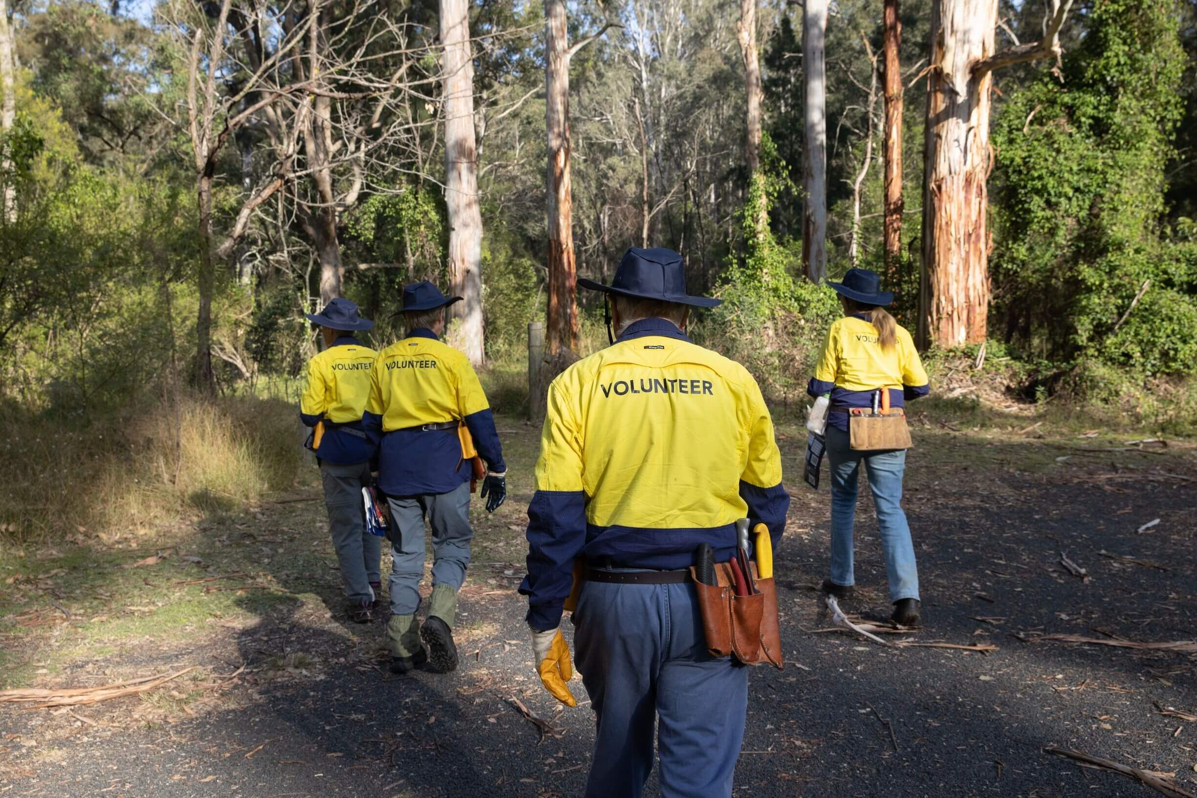 Four volunteers wearing yellow and blue uniforms with "VOLUNTEER" written on the back walk through a forested area. They carry tools and wear wide-brimmed hats. The path is surrounded by tall trees and greenery.