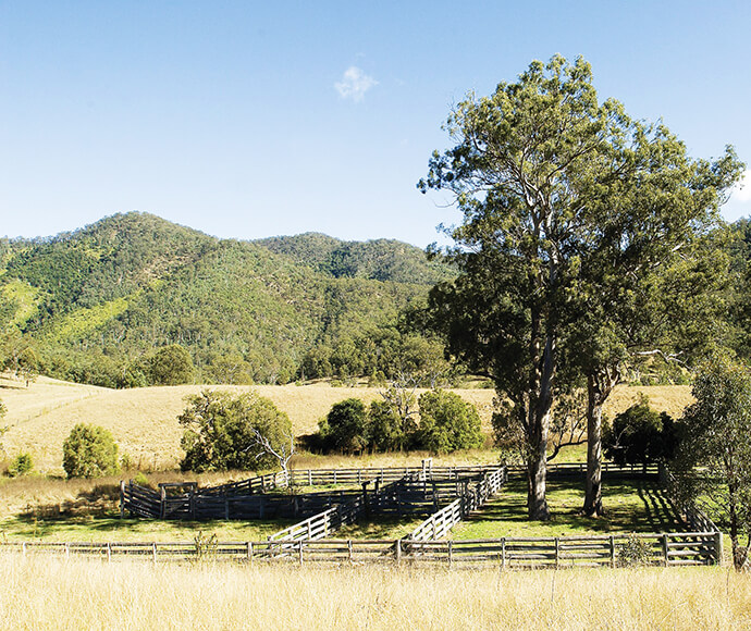 The image shows a rural landscape with a fenced area, likely a paddock or livestock pen, situated in a grassy field. There are several large trees within and around the fenced area, and the background features rolling hills covered in dense greenery. The sky is clear and blue, suggesting a sunny day.