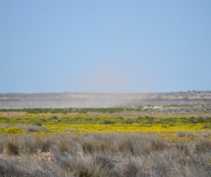 Photograph of Peery Lake in Paroo-Darling National Park during the dry season, featuring a dry lakebed with sparse vegetation and a clear sky, highlighting the arid landscape of this protected area.