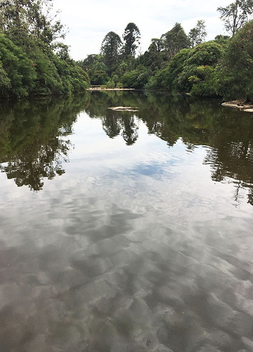 Image of Parramatta River with water in foreground reflecting clouds in the sky and river banks covered in bush in the distance.